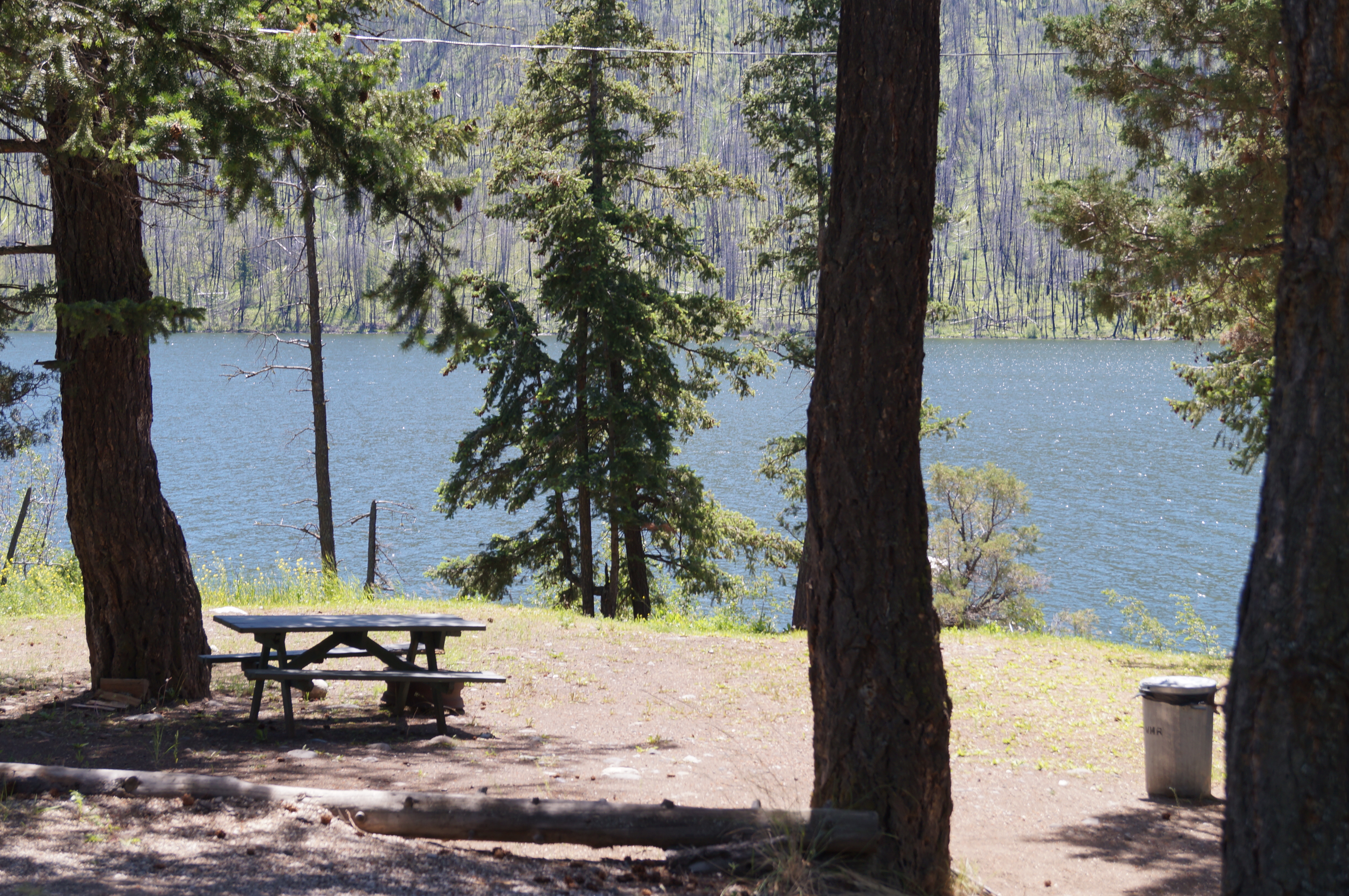 White Moose Resort — photo 3